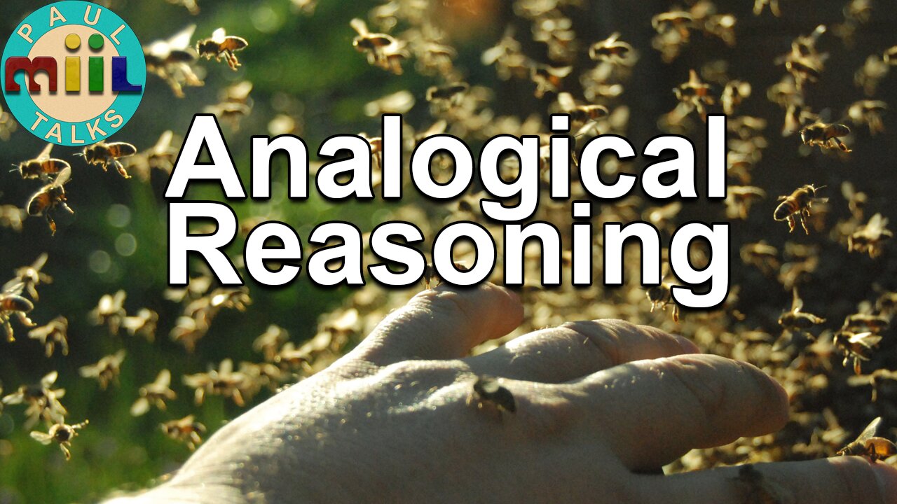 24 Defense Against the Dark Arts: Analogical Arguments