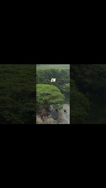 Unveil Hawaii's Exclusive Wildlife and Botany