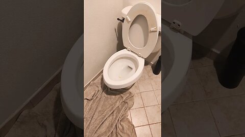 ATTEMPTING TO SUMMON SKIBIDI TOILET: TRIAL 1