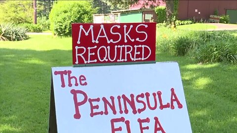 Big finds, small prices and safety guidelines: Peninsula Flea is back