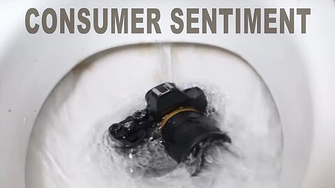 Consumer Sentiment Is In The Toilet Used Camera Market Boom