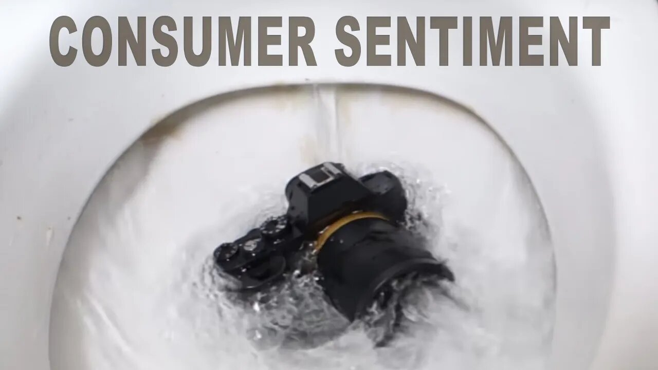 Consumer Sentiment Is In The Toilet Used Camera Market Boom