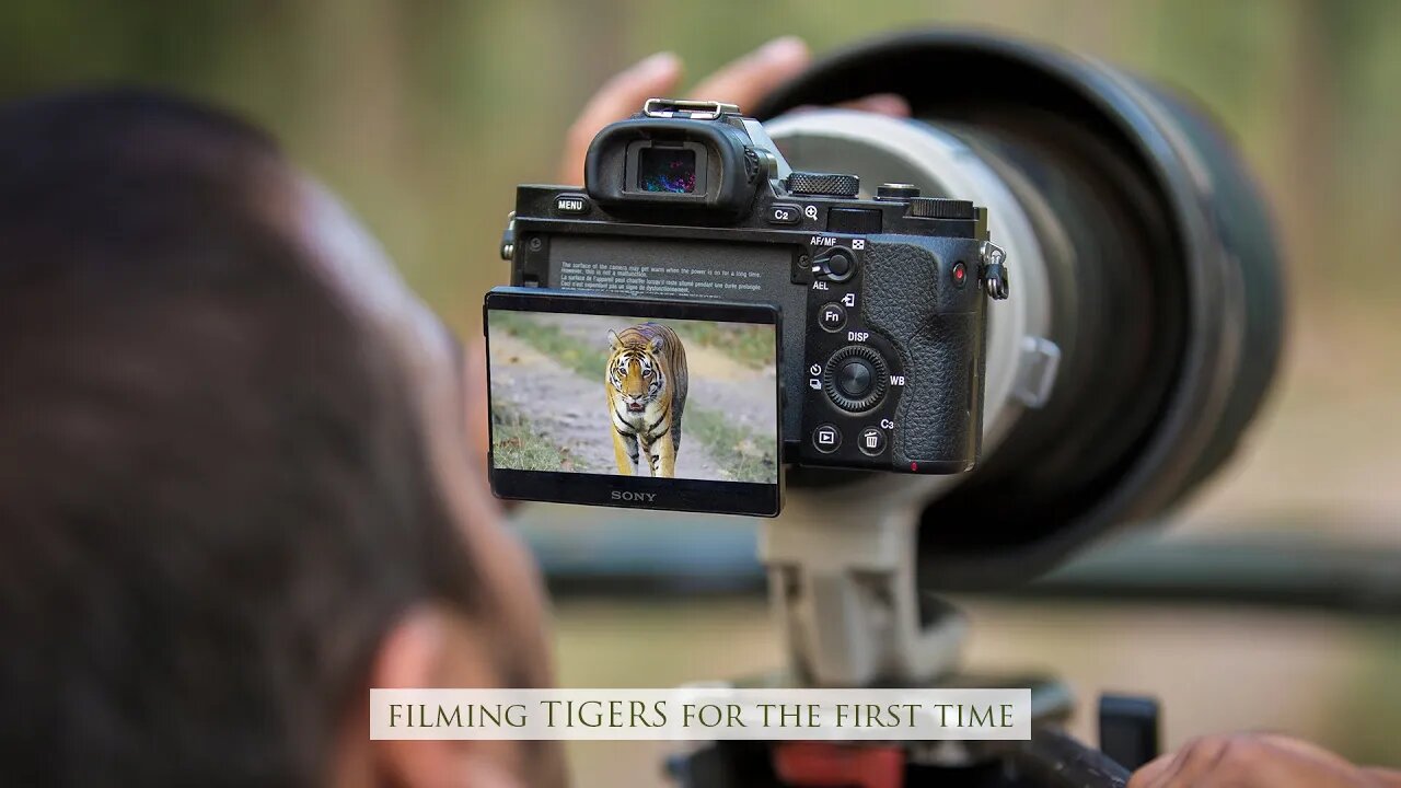 I shot a Wildlife Commercial in Madhya Pradesh | 2015 Throwback - Kanha & Pench National Park