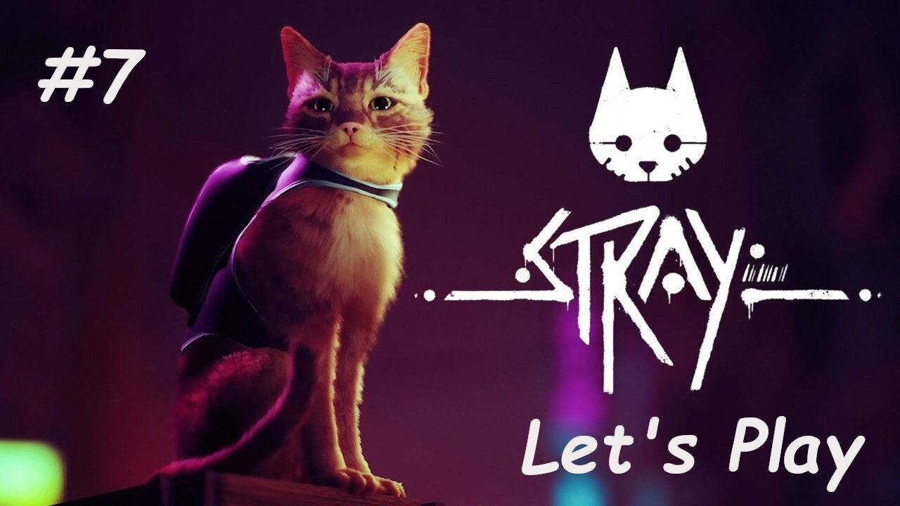 Let's Play - Stray - Part 7