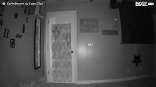 O que faria se encontrasse o seu quarto de cabeça para baixo?