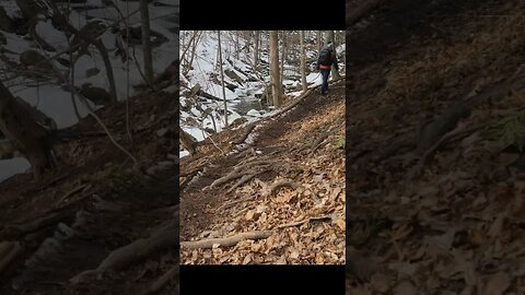 Smokey Hollow Winter Hiking Trail Part Of The Bruce Trail #short #shortvideo #shorts #hiking