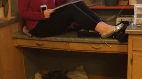 Girl Hides on Counter When Her Mom's Pet Pig Tries To “Attack” Her