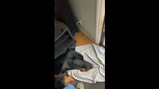 Stumpy as first test video