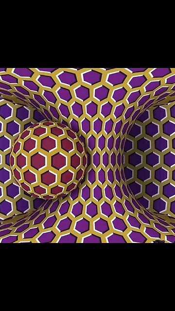 Paul Stamets talks about the potential benefits of mushrooms for Cancer!