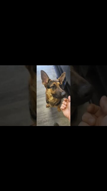 The Standing Pedal! #shorts