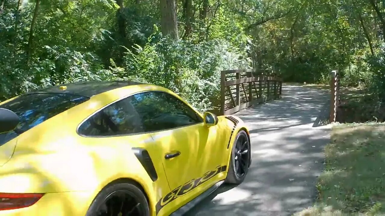 Walking through the woods on the way to Car Show and this happens