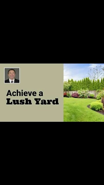 Tips for Achieving a Lush Yard