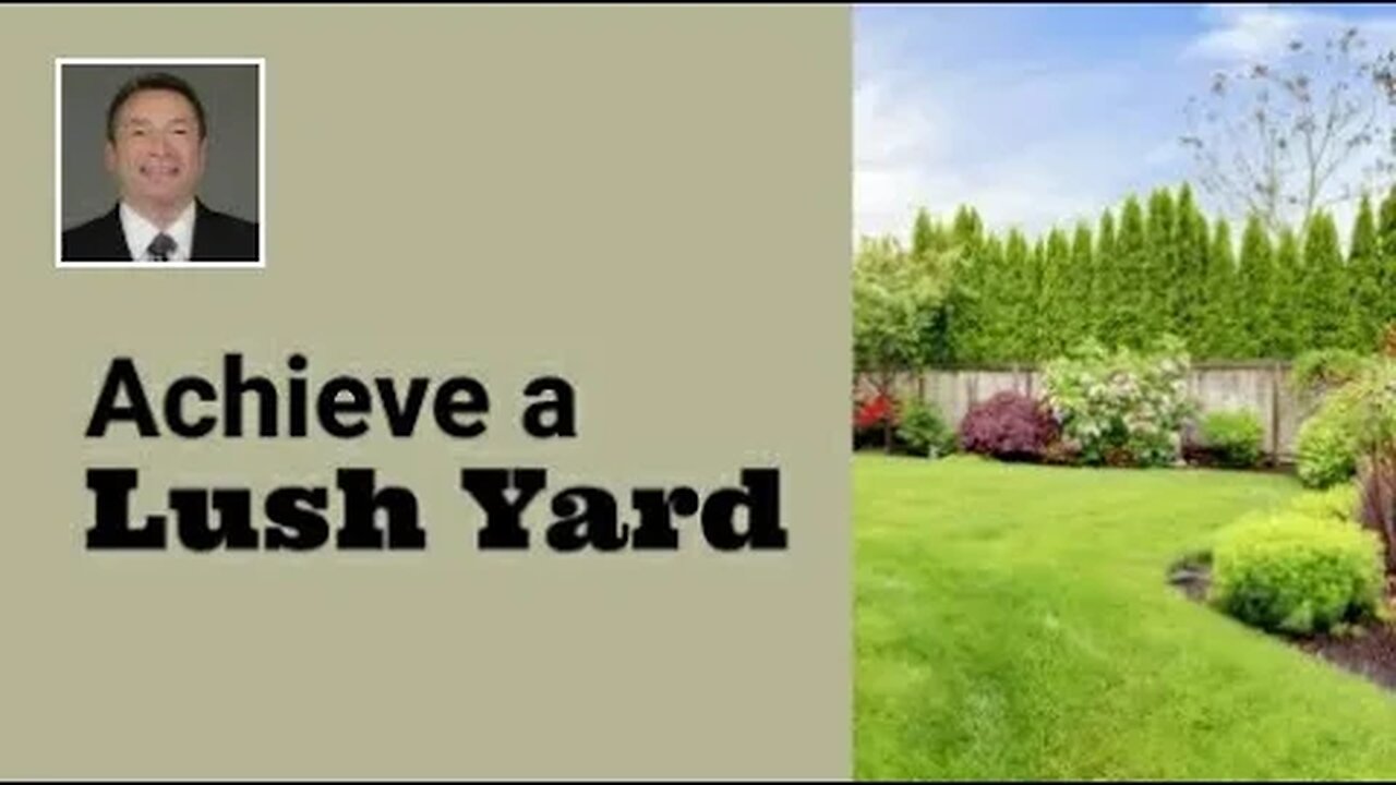 Tips for Achieving a Lush Yard