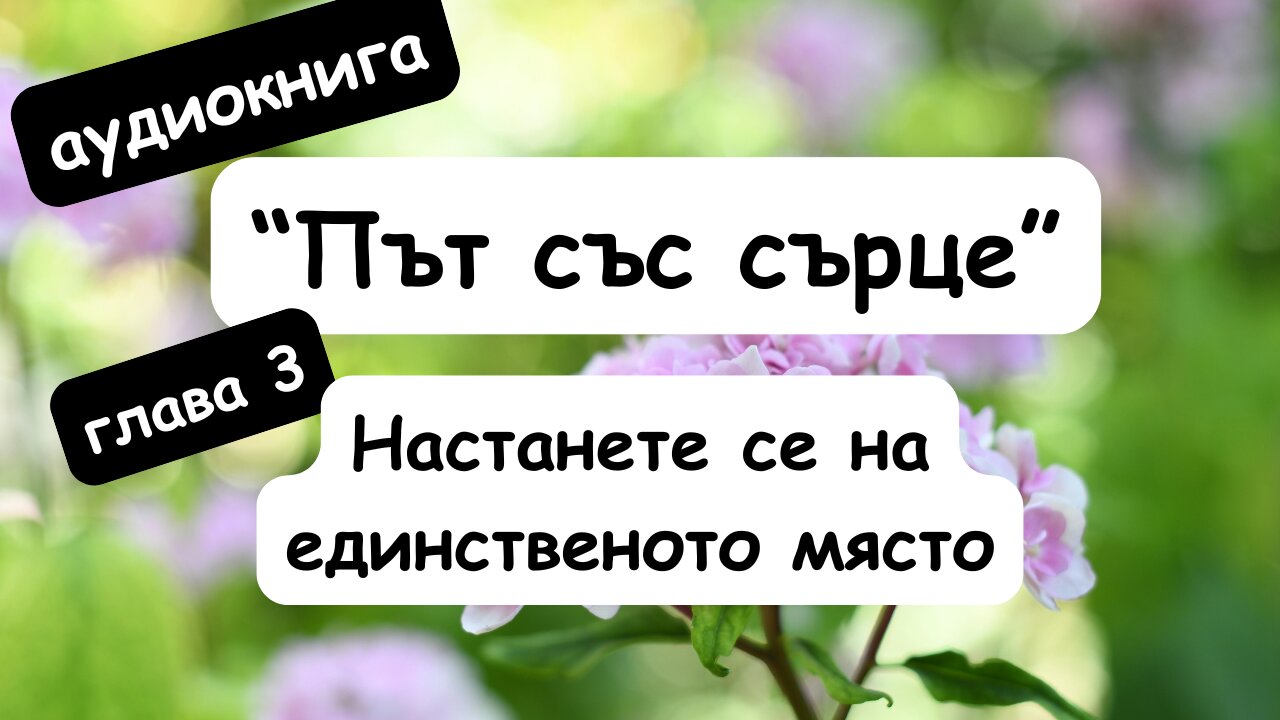 "НАСТАНЕТЕ СЕ НА ЕДИНСТВЕНОТО МЯСТО" - глава 3 от "ПЪТ СЪС СЪРЦЕ" на Джек Корнфийлд / АУДИОКНИГА