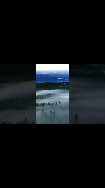 Evening fog in Germany 🇩🇪