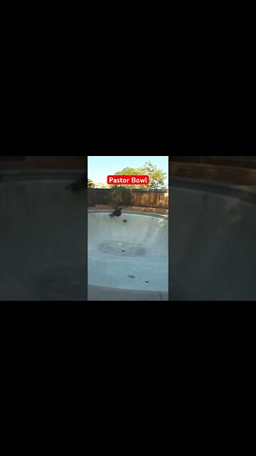 Laying into grinds on dry coping.