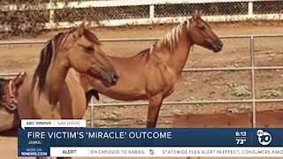 Valley Fire victim's 'miracle' outcome after house burns