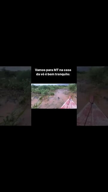 um rio com milhares de jacarés prontos para dar o bote #shorts #jacaré