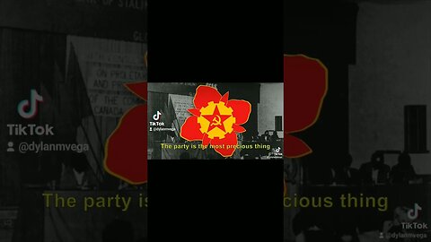 The Party Is The Most Precious Thing Don't Ever Forget That