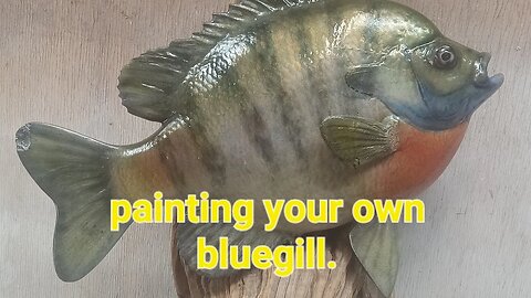 Painting a bluegill.