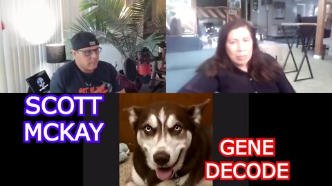 GENE DECODE REUPLOAD: GENE DECODE WITH SCOTT MCKAY #PATRIOTSTREETFIGHTER