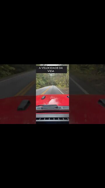 A VELOCIDADE DA VIDA REFLEXÃO #shorts