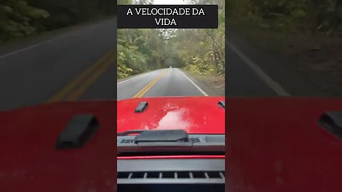 A VELOCIDADE DA VIDA REFLEXÃO #shorts