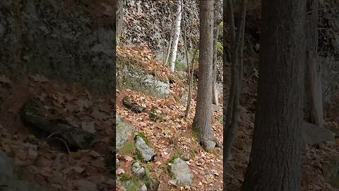 St Nora Lake Hiking Trail #riverhiking #nature #hiking #hikingroutes #hikingday