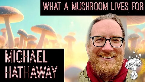 Michael Hathaway || What a Mushroom Lives For