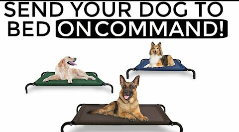 How to get your dog to sleep in their own bed ON COMMAND is the simplest method of dog training.