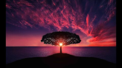 meditation music with nature video
