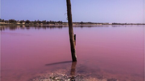 Situated about one hour away from Senegal’s capital Dakar is a rather unusual lake. Lake Retba, or simply Lac Rose, as the locals call it, is world renowned for its vivid pink colour.