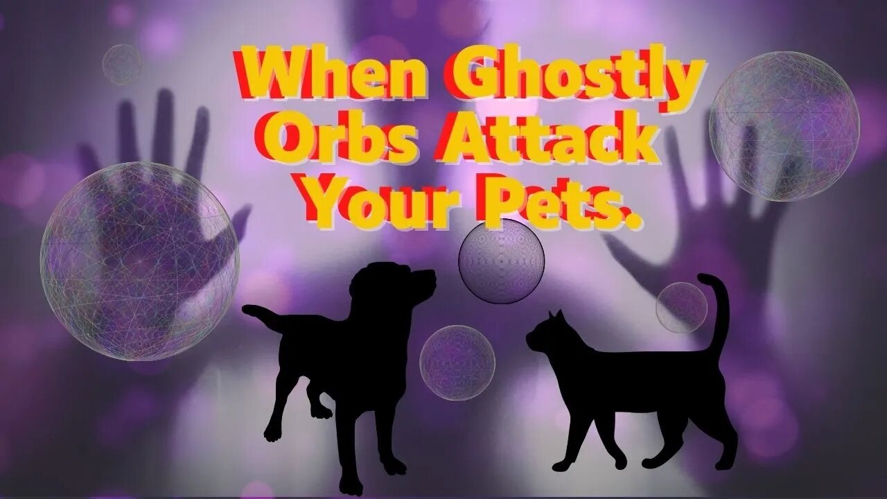 Dog harassed by ghostly orbs WHOLE ACCOUNT.