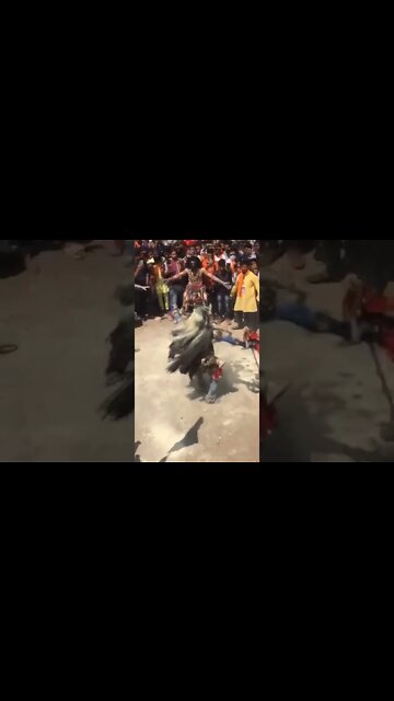 Bhole Baba Status || Shiv Status || Shiv Shankar status ||#shiva #mahadev #mahakal #harharmahadev