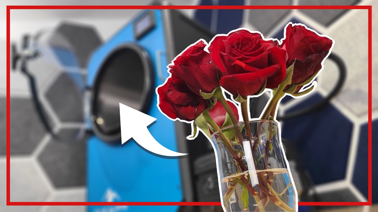 What Happens When You Freeze-Dry Flowers?