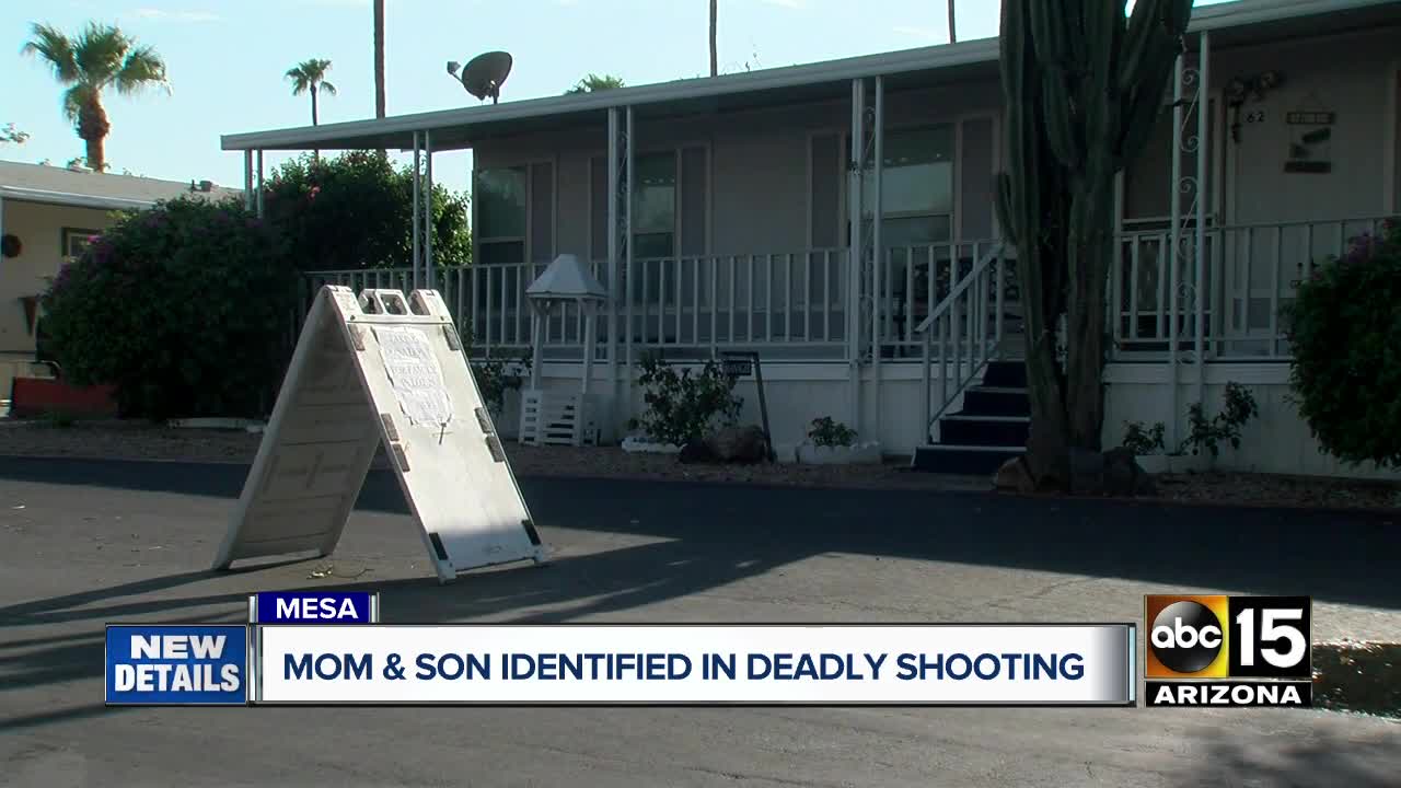 Mom, son killed in Mesa home