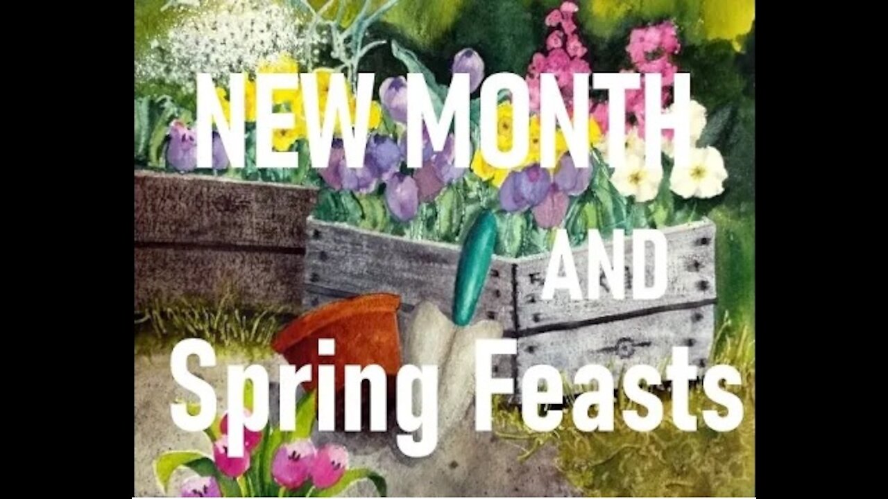 The New Month and The Spring Festivals