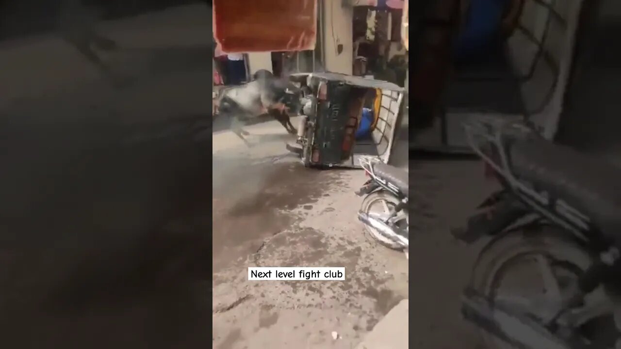 लड़ाई रोकने को Ninja technique #youtubeshorts #fight #shortsviral #shorts #youtube