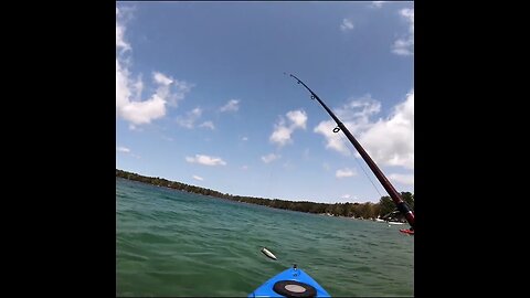 Rainbow trout catch