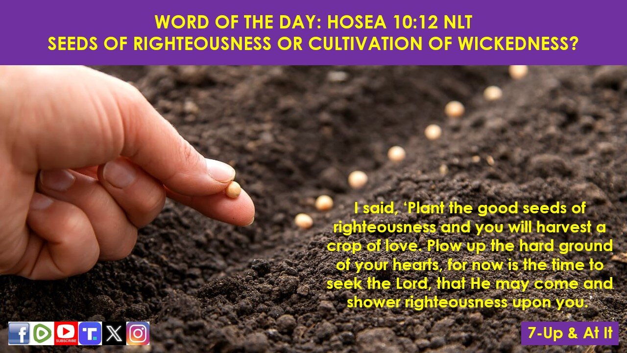 WORD OF THE DAY: HOSEA 10:12 NLT - SEEDS OF RIGHTEOUSNESS OR CULTIVATION OF WICKEDNESS?