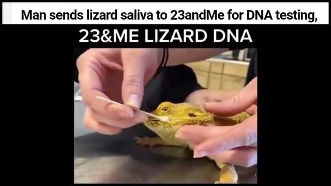 Man sends lizard saliva to 23andMe for DNA testing...