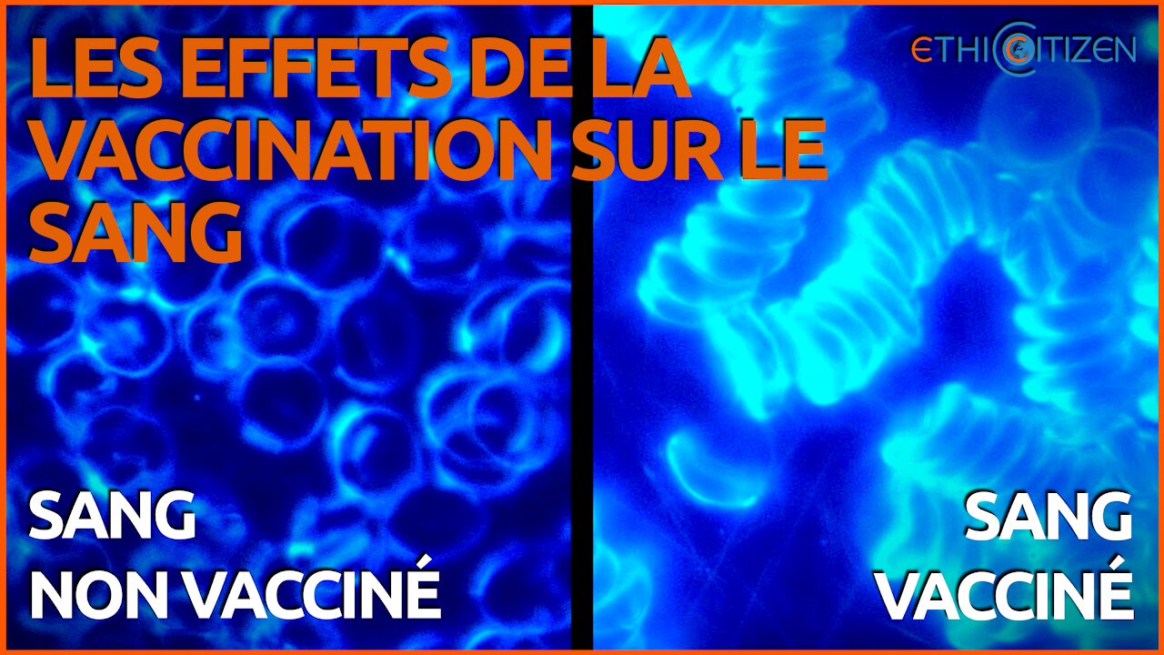 Les effets de la vaccination sur le sang