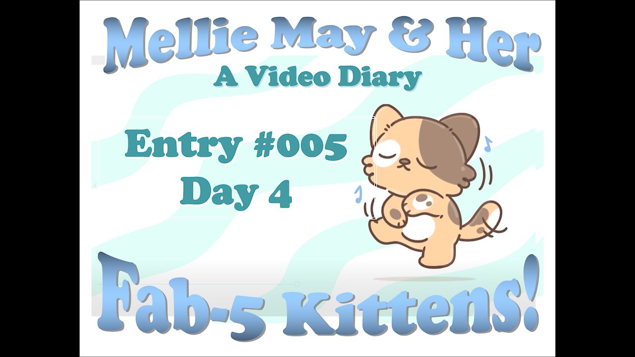 Video Diary Entry 005 - The Cuteness Continues on Day 4