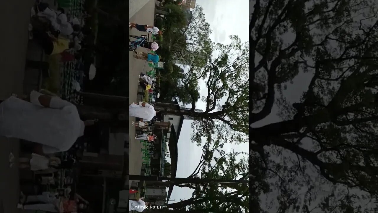 #etsukojunio #etsukofans #fransiscaofficial #teamfransisca #沉连清 #fransisca #fransiscametaworld