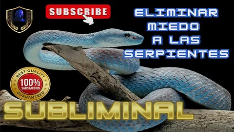 Eliminar Miedo a las Serpientes Ofidiofobia Subliminal 2023