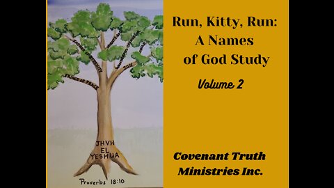 Run Kitty Run - Volume 2 - Lesson 8 - YHVH Kadash The Lord Who Sanctifies
