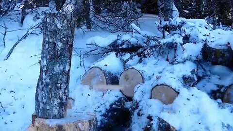 7 #### THIS had to be DONE! At Our Off Grid, Alaskan Cabin