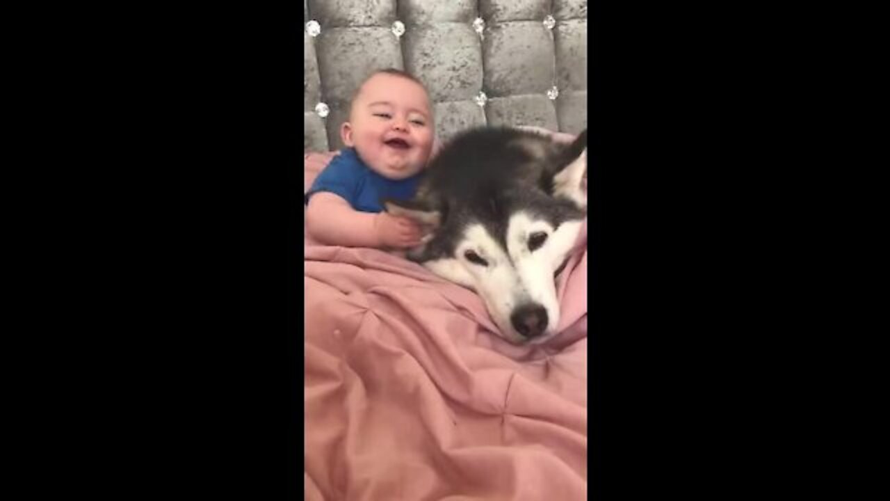 Cute Baby With Cute Dog Funny Video