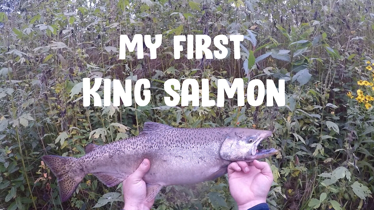 My First King Salmon!