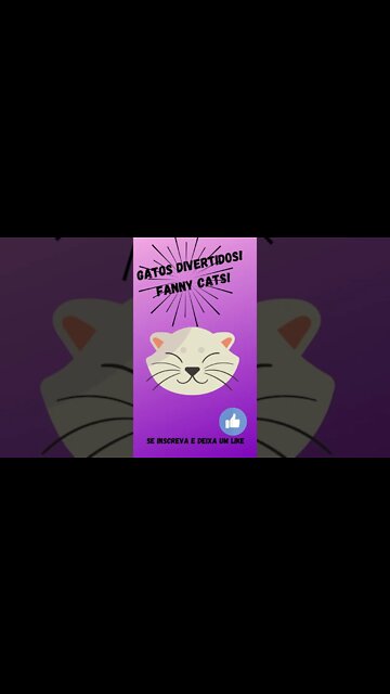 Gatos divertidos Fanny cats! #shorts